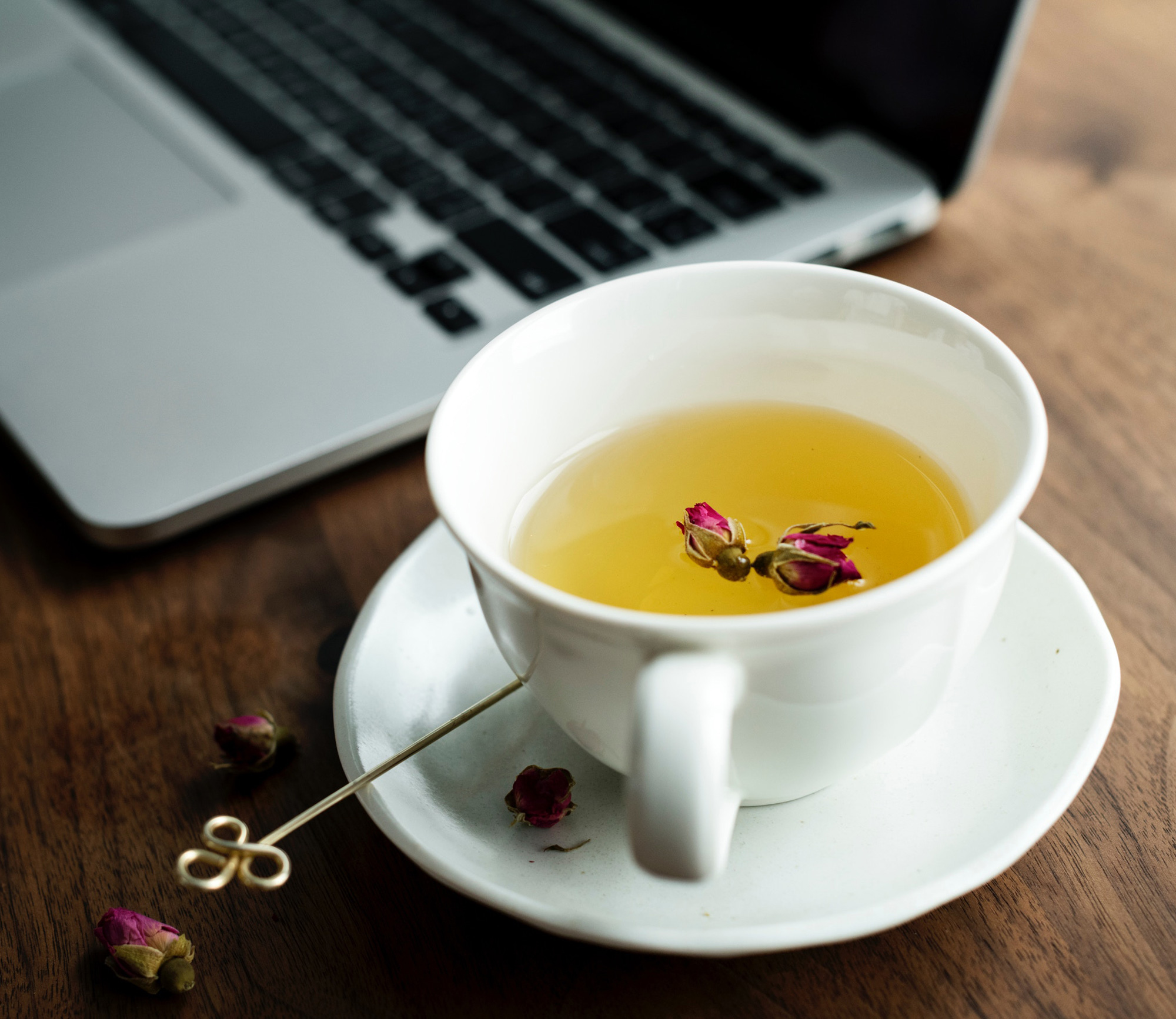 bild-vera-apel-feng-shui-bremen-18a