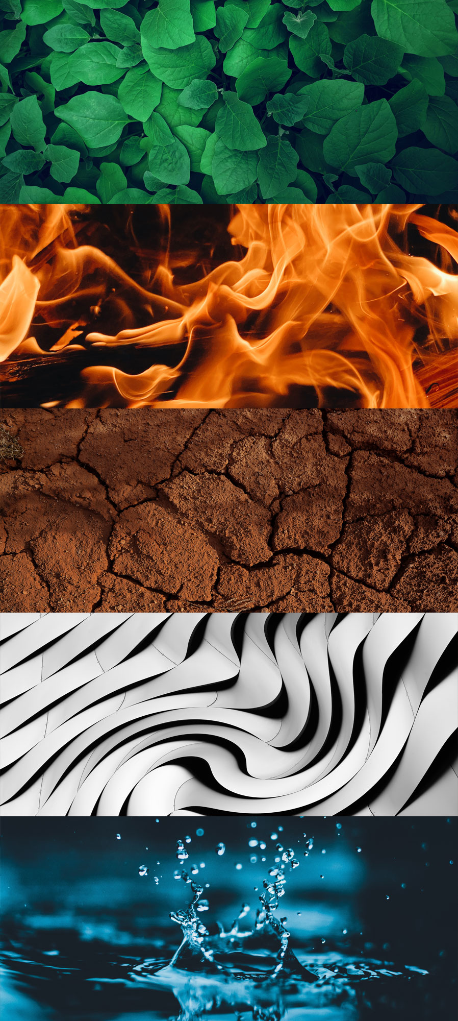 bild-vera-apel-feng-shui-bremen-33