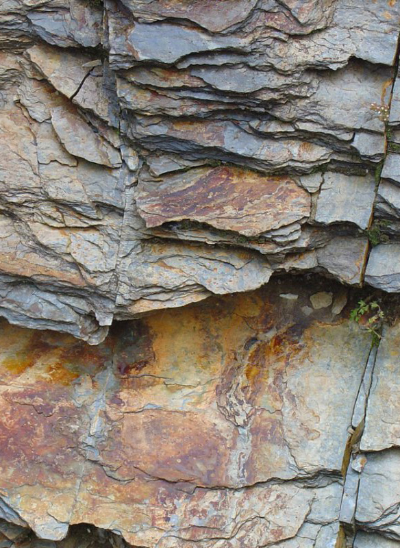 bild-vera-apel-feng-shui-bremen-33